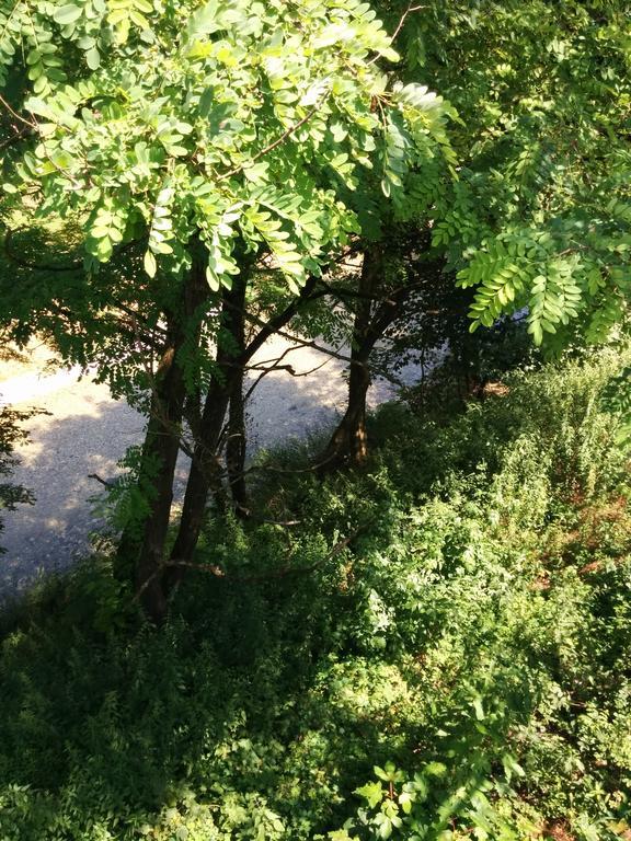 Casetta Next To The Creek Dino Buzzati Беллуно Номер фото